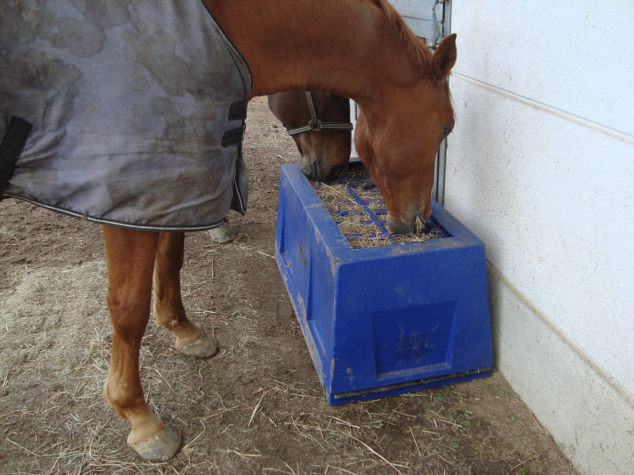 Natural Feeder