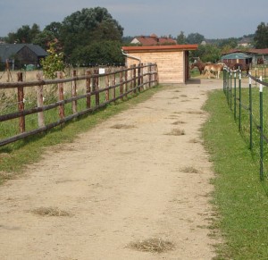 Heufütterung Paddock Trail