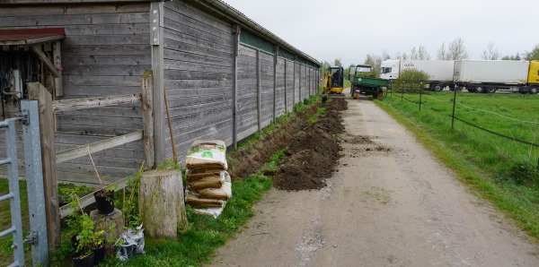 Kletterpflanzen im Offenstall