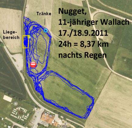 Heufütterung im Paddock Trail