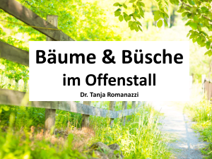 Bäume Büsche Offenstall