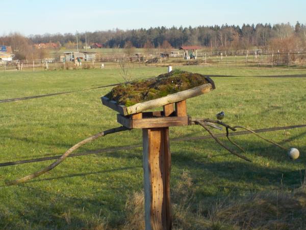 Biotope im Offenstall