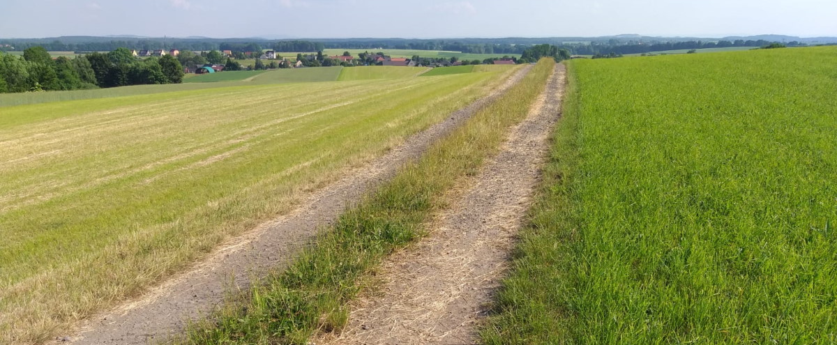 Heuproduktion Gut Heinrichshof