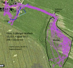 GPS-Messungen im Offenstall