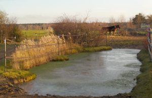 Biotope im Offenstall