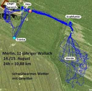 GPS-Messungen im Offenstall