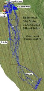 GPS-Messungen im Offenstall