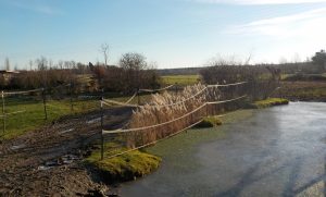 Biotope im Offenstall