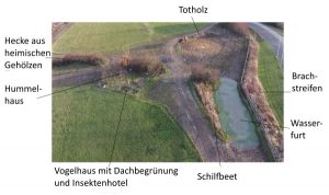 Biotope im Offenstall