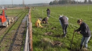 Naturschutz im Offenstall