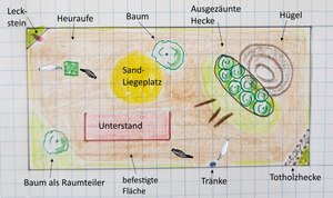 Auslauf Offenstall