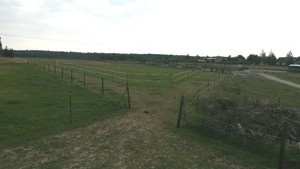 Trail Offenstall